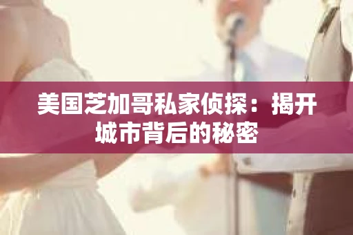 美国芝加哥私家侦探：揭开城市背后的秘密