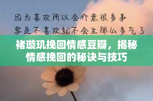 褚璇玑挽回情感豆瓣，揭秘情感挽回的秘诀与技巧