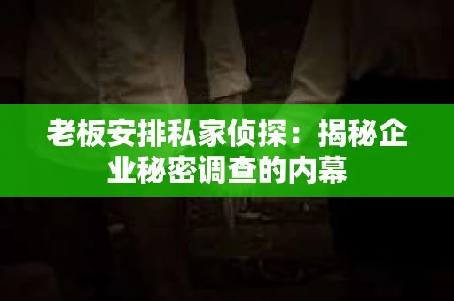 老板安排私家侦探：揭秘企业秘密调查的内幕