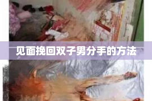 见面挽回双子男分手的方法