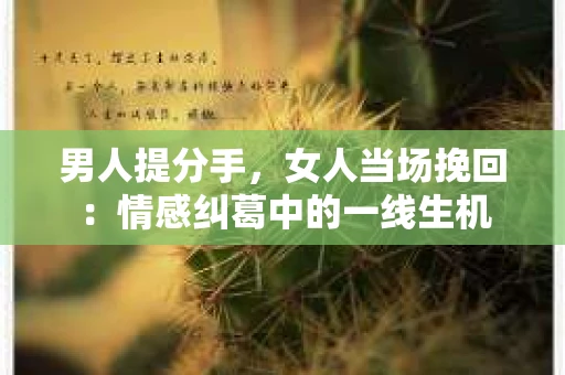 男人提分手，女人当场挽回：情感纠葛中的一线生机