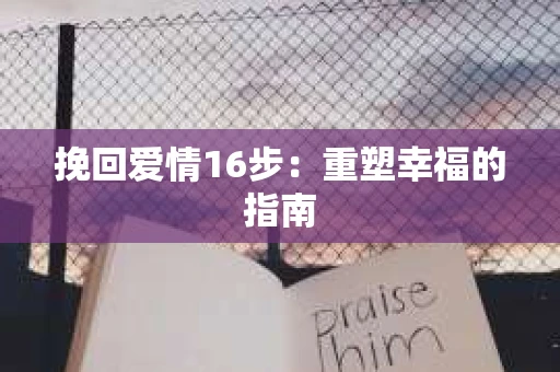 挽回爱情16步：重塑幸福的指南