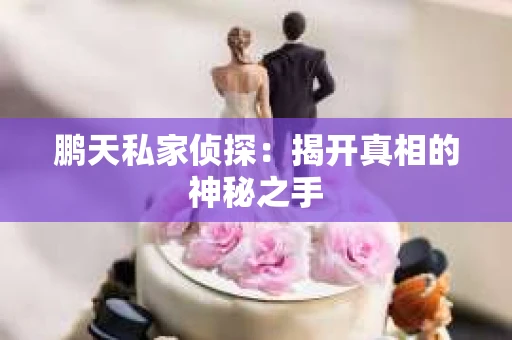 鹏天私家侦探：揭开真相的神秘之手