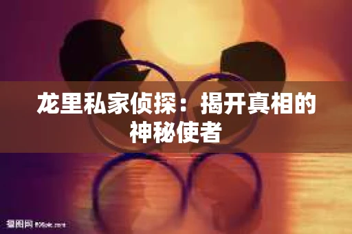 龙里私家侦探：揭开真相的神秘使者