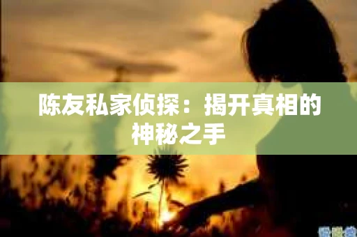 陈友私家侦探：揭开真相的神秘之手
