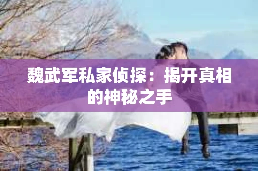 魏武军私家侦探：揭开真相的神秘之手
