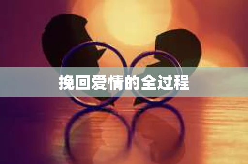 挽回爱情的全过程