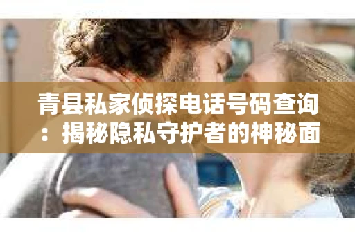 青县私家侦探电话号码查询：揭秘隐私守护者的神秘面纱