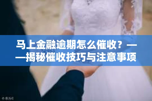 马上金融逾期怎么催收？——揭秘催收技巧与注意事项