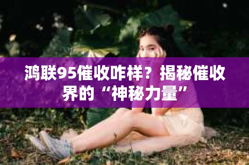鸿联95催收咋样？揭秘催收界的“神秘力量”