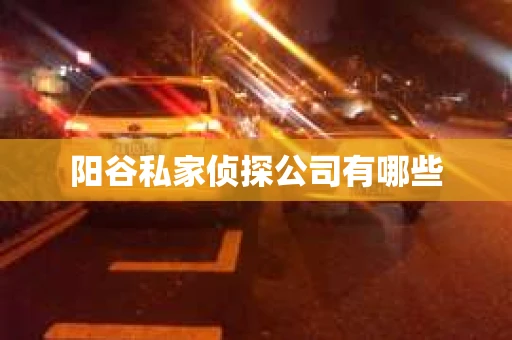 阳谷私家侦探公司有哪些