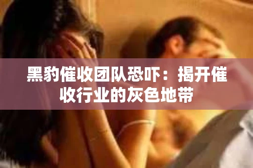 黑豹催收团队恐吓：揭开催收行业的灰色地带