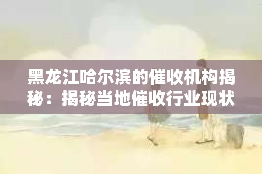 黑龙江哈尔滨的催收机构揭秘：揭秘当地催收行业现状