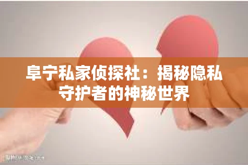 阜宁私家侦探社：揭秘隐私守护者的神秘世界