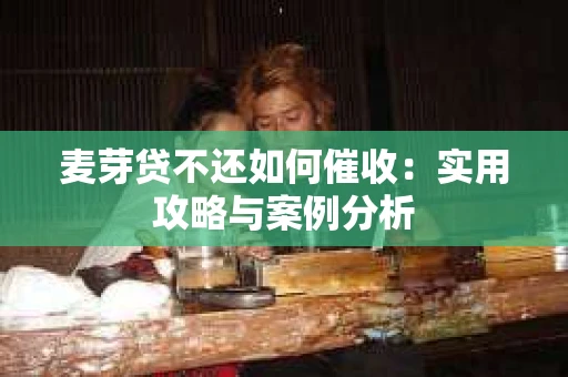 麦芽贷不还如何催收：实用攻略与案例分析