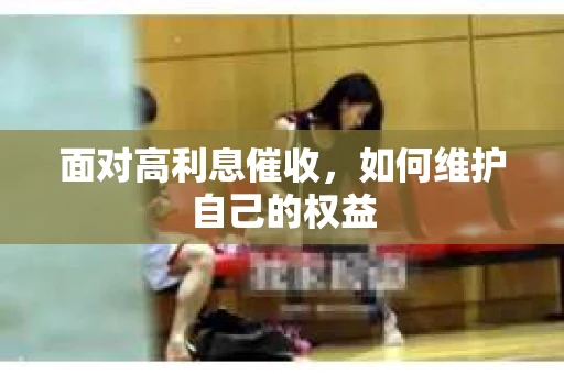 面对高利息催收，如何维护自己的权益