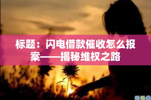 标题：闪电借款催收怎么报案——揭秘维权之路