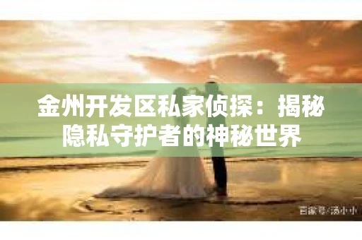 金州开发区私家侦探：揭秘隐私守护者的神秘世界