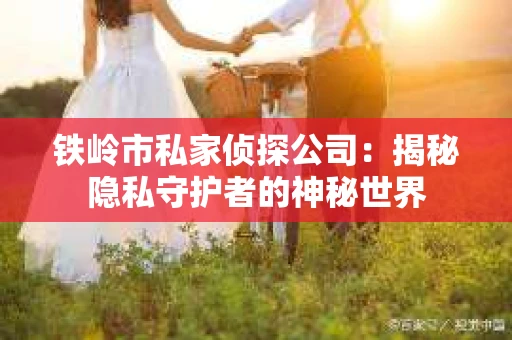 铁岭市私家侦探公司：揭秘隐私守护者的神秘世界