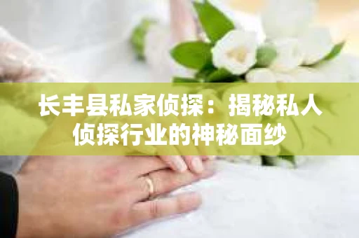 长丰县私家侦探：揭秘私人侦探行业的神秘面纱