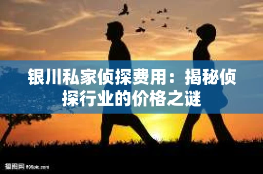 银川私家侦探费用：揭秘侦探行业的价格之谜