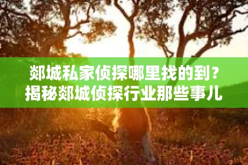 郯城私家侦探哪里找的到？揭秘郯城侦探行业那些事儿