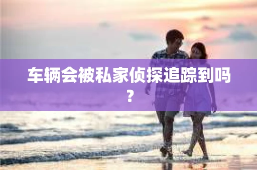 车辆会被私家侦探追踪到吗？