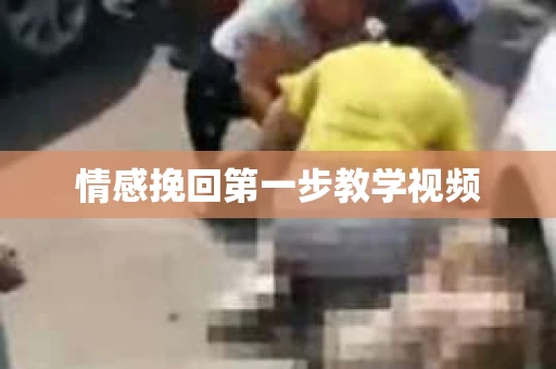 情感挽回第一步教学视频