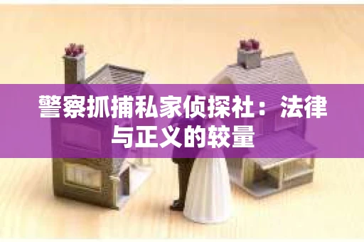 警察抓捕私家侦探社：法律与正义的较量