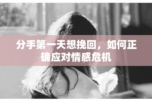 分手第一天想挽回，如何正确应对情感危机