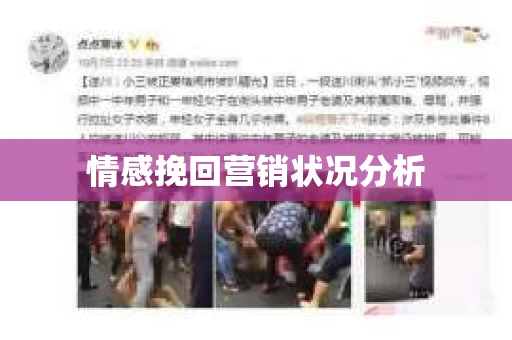 情感挽回营销状况分析