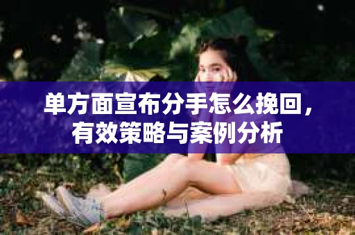 单方面宣布分手怎么挽回，有效策略与案例分析