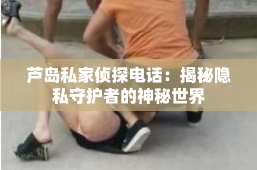 芦岛私家侦探电话：揭秘隐私守护者的神秘世界