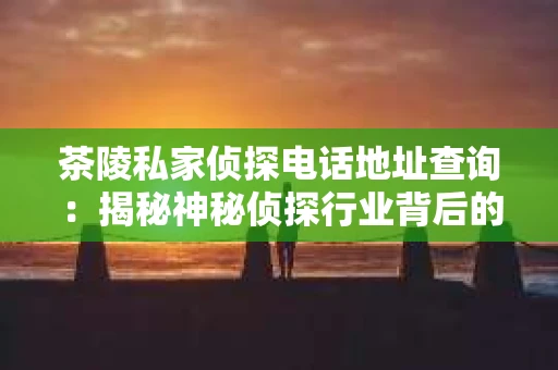 茶陵私家侦探电话地址查询：揭秘神秘侦探行业背后的故事